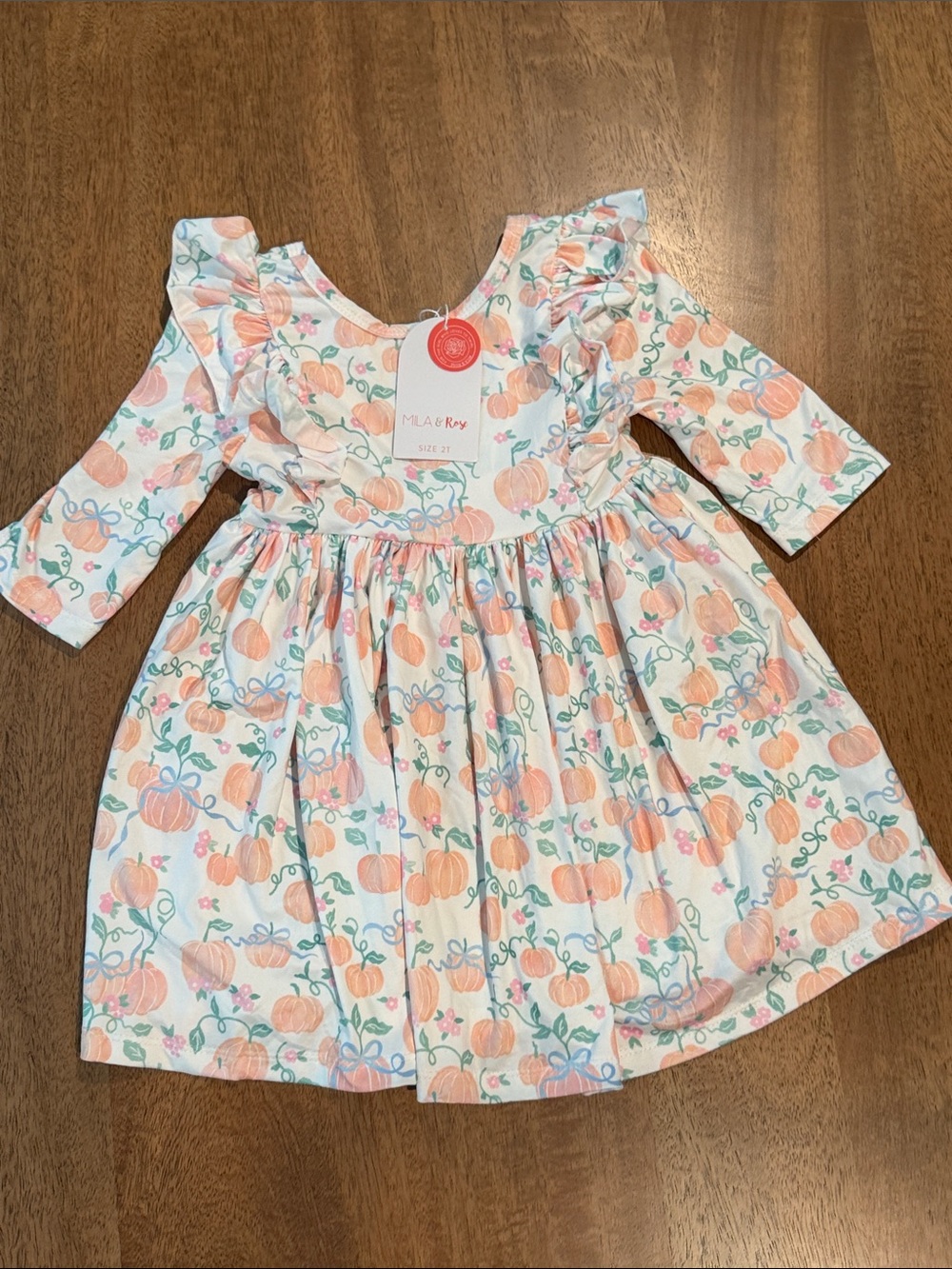 Mila & Rose Girls 2T Fall Ruffle Sleeve Dress